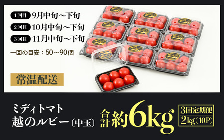 【先行予約】《定期便3回》高糖度 ミディトマト 越のルビー 約2kg 10パック（計約6kg）／ 福井県産 ブランドトマト 中玉 農家直送  野菜 フルーツ並み 甘い 有機肥料 低農薬 サラダ  ※2