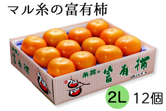 
            [先行予約／令和7年産]【柿の王様】マル糸の富有柿 2Lサイズ (12個入) 令和7年11月下旬より発送予定 [mt188] 
          