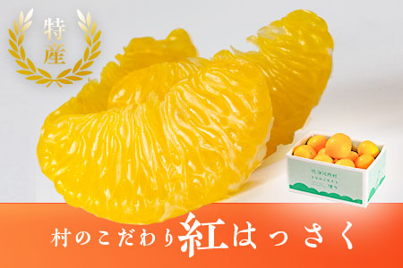 村のこだわり 紅はっさく 約7kg 山口允張 八朔 紅八朔