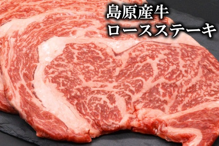 CF009【定期便】長崎和牛・島原産牛の食べ比べ　3回コース