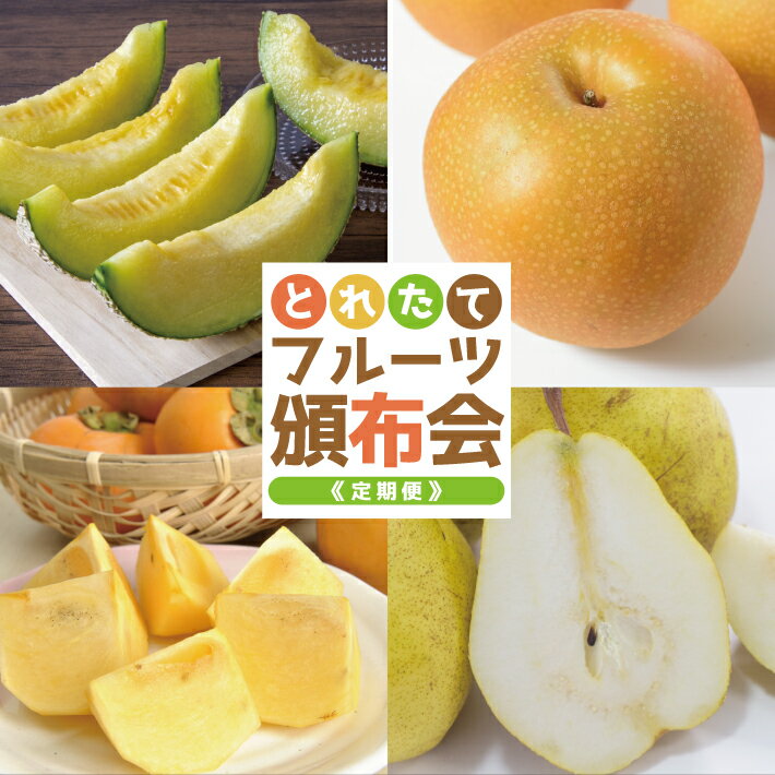【ふるさと納税】≪4回定期便≫ とれたて！フルーツ頒布会2025 6月下旬〜7月下旬「アンデスメロン（青肉）約3kg」 8月下旬〜9月下旬「和梨 約3kg」 10月中旬〜11月中旬「庄内柿（種なし柿）約3kg」11月上旬〜12月上旬「ラ・フランス 約3kg」 山形県酒田産 ※着日指定不可