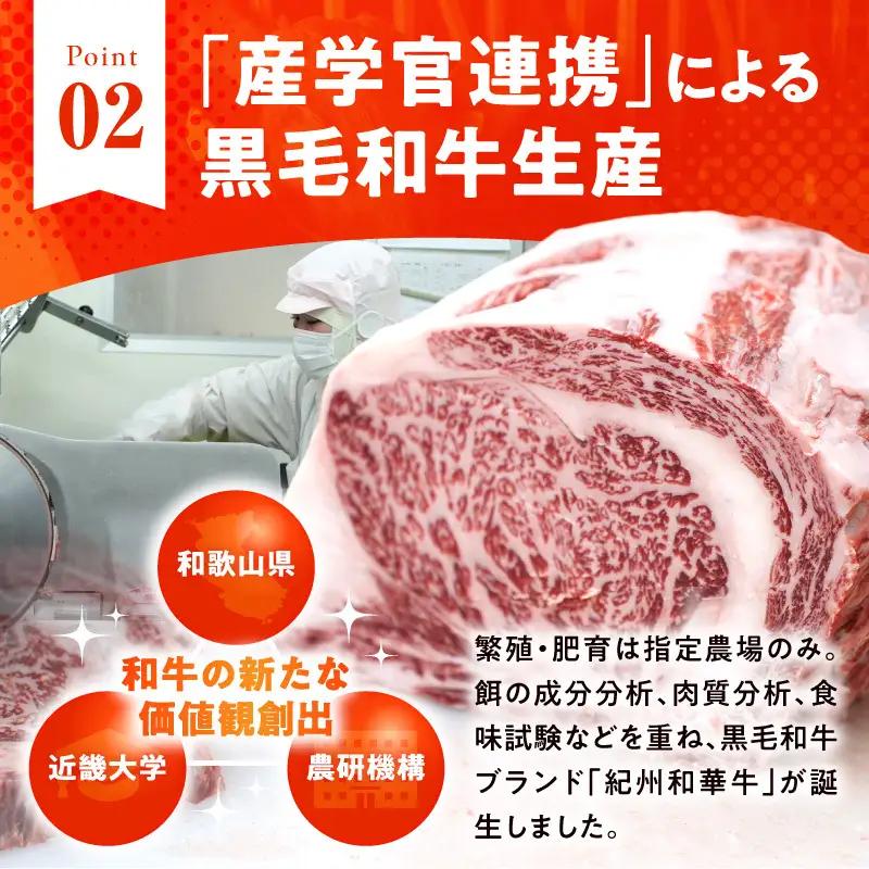 紀州和華牛　ロースステーキ 500g（約250gｘ2枚）_BN6102