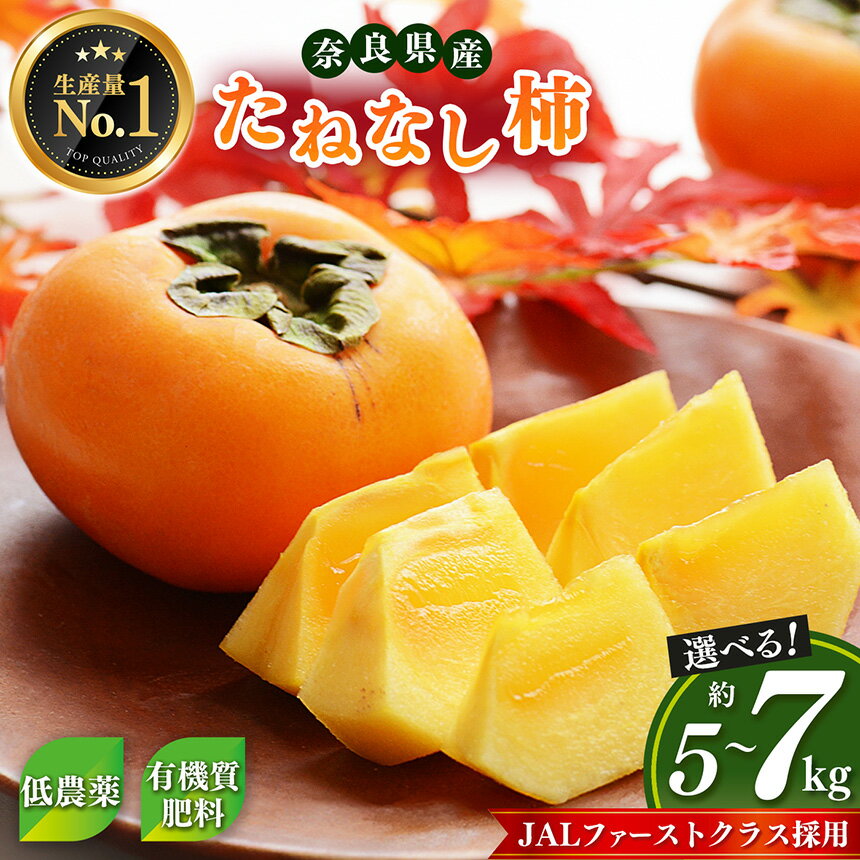 【令和7年分 先行予約】 大人気！ リピーター多数！ たねなし柿 | フルーツ 果物 くだもの 柿 かき カキ たねなし 種無し 種なし 奈良県 五條市 五條の柿 西岡農園