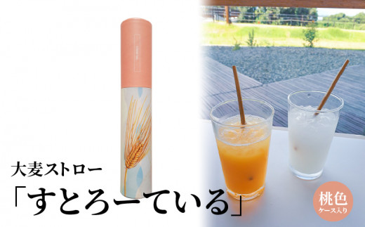 大麦ストロー「すとろーている」、ケース入り桃色 CC-0002_2