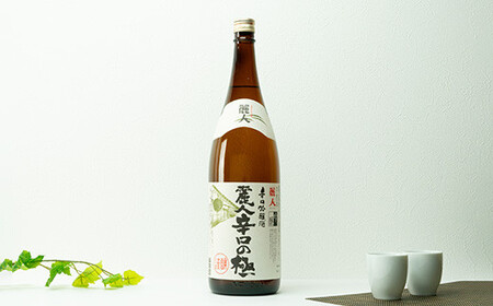 日本酒 麗人酒造 地酒1800ml×2本 純米吟醸酒 辛口吟醸酒 飲み比べ セット 【37-04】