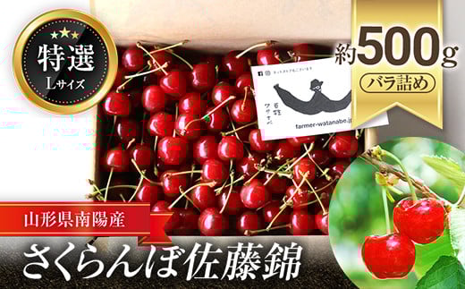 【令和7年産先行予約】 さくらんぼ 「佐藤錦」 約500g (特選 L玉) バラ詰め 《令和7年6月中旬～発送》 『最上園』 サクランボ 果物 フルーツ 産地直送 山形県 南陽市 [989]