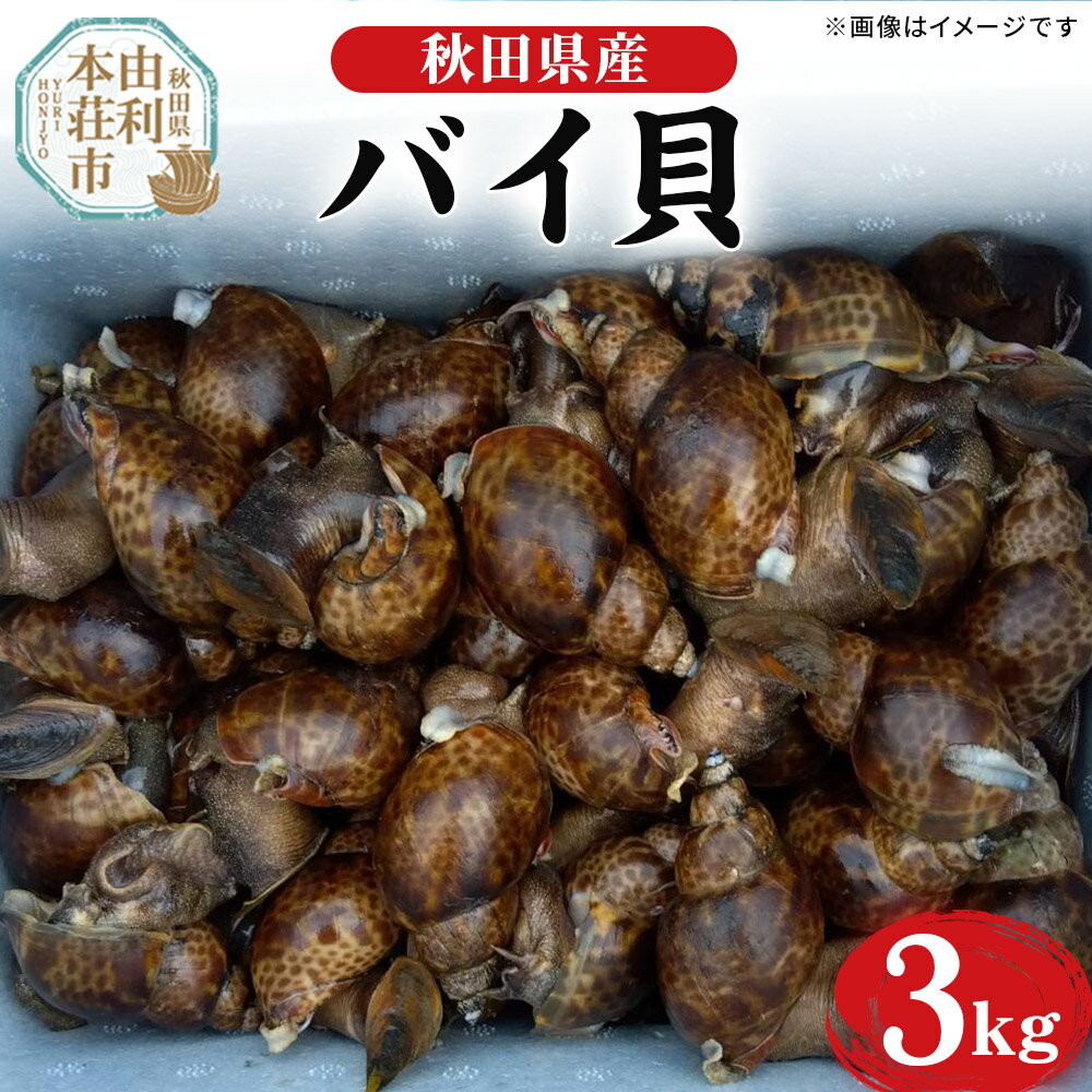 【ふるさと納税】《一部地域限定配送》活バイ貝 3kg 由利本荘市産