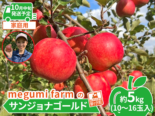 【10月中旬発送】青森県鰺ヶ沢町産りんご 糖度13度以上 megumi farmのサンジョナゴールド 家庭用 約5kg（10～16玉入） 果物類 フルーツ 産地直送 安全 安心 