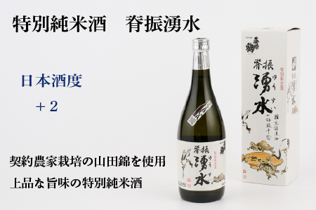 TheSAGA認定酒 特別純米酒おまかせ2本 定期便3回(H072148)