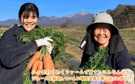 【先行予約】にんじんジュース 200ml 30本 にんじんのとりこ 甘くて 飲みやすい ストレート果汁 八ヶ岳わくわくファーム ※2026年8月上旬より順次発送