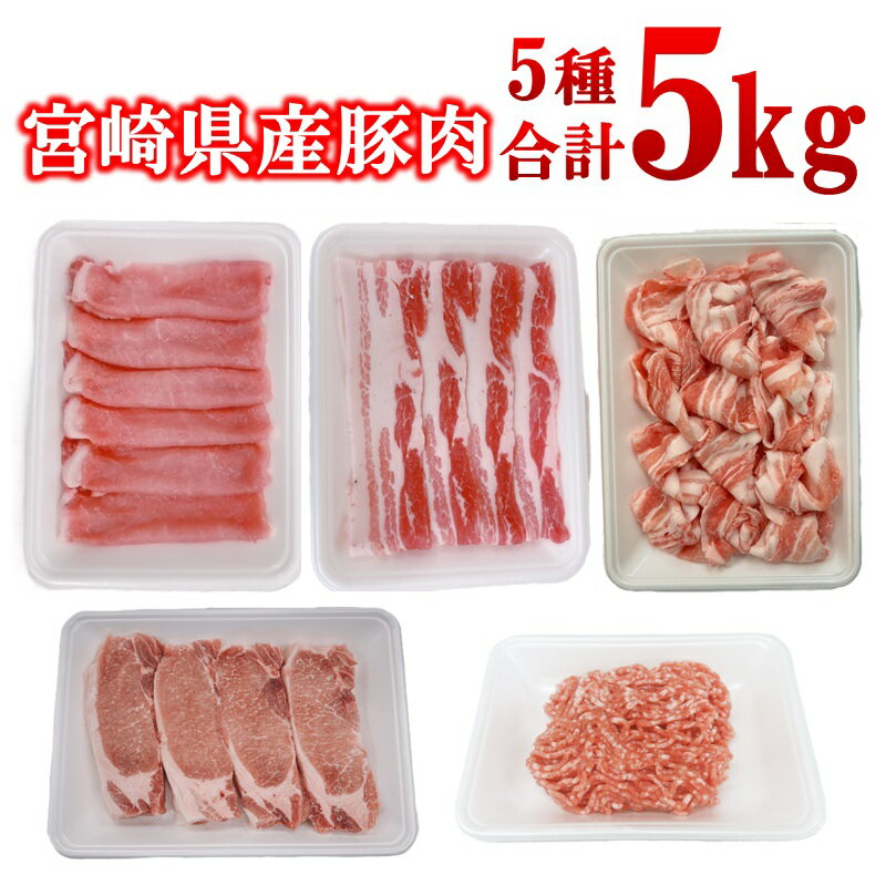 【ふるさと納税】宮崎県産豚肉 5種 5kg セット 小分け21パック＜2-109＞スライス トンカツ 切り落とし ミンチ しゃぶしゃぶ とんかつ ギョーザ 炒め物等
