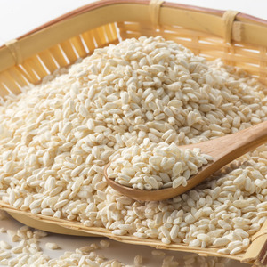 冷凍米麹(米こうじ) 2.5kg (500g×5袋) 生冷凍袋入 /湯浅発酵食品研究所【sutb807】