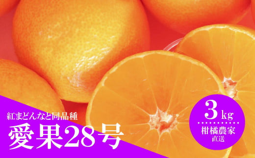 【先行予約】 数量限定 愛果28号 約3kg 愛媛 あいか 柑橘 あいか えひめ あいか くだもの あいか 松山 あいか みかん あいか 北条 あいか フルーツ あいか M～2L 混合 あいか