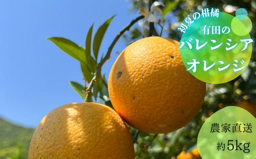 
            【数量限定】有田市生まれのバレンシアオレンジ（約5kg）(A212-1)
          