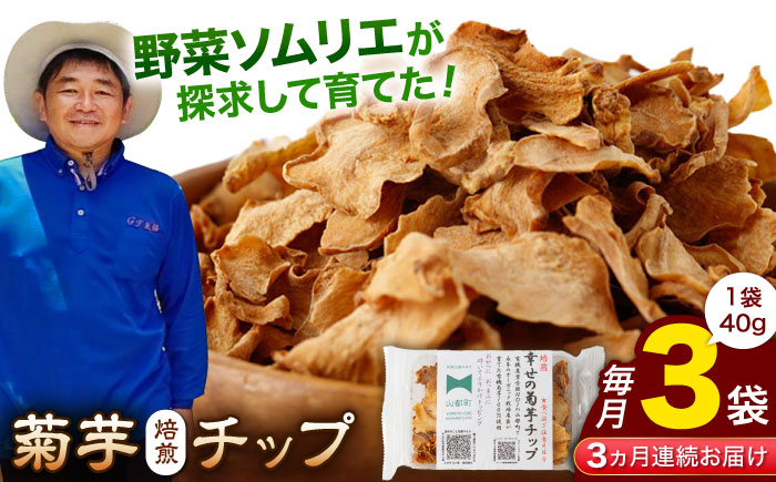 【全3回定期便】【数量限定】菊芋 焙煎 チップ 120g (40g×3パック)【グリーンファーム矢部】 [YDC008]
