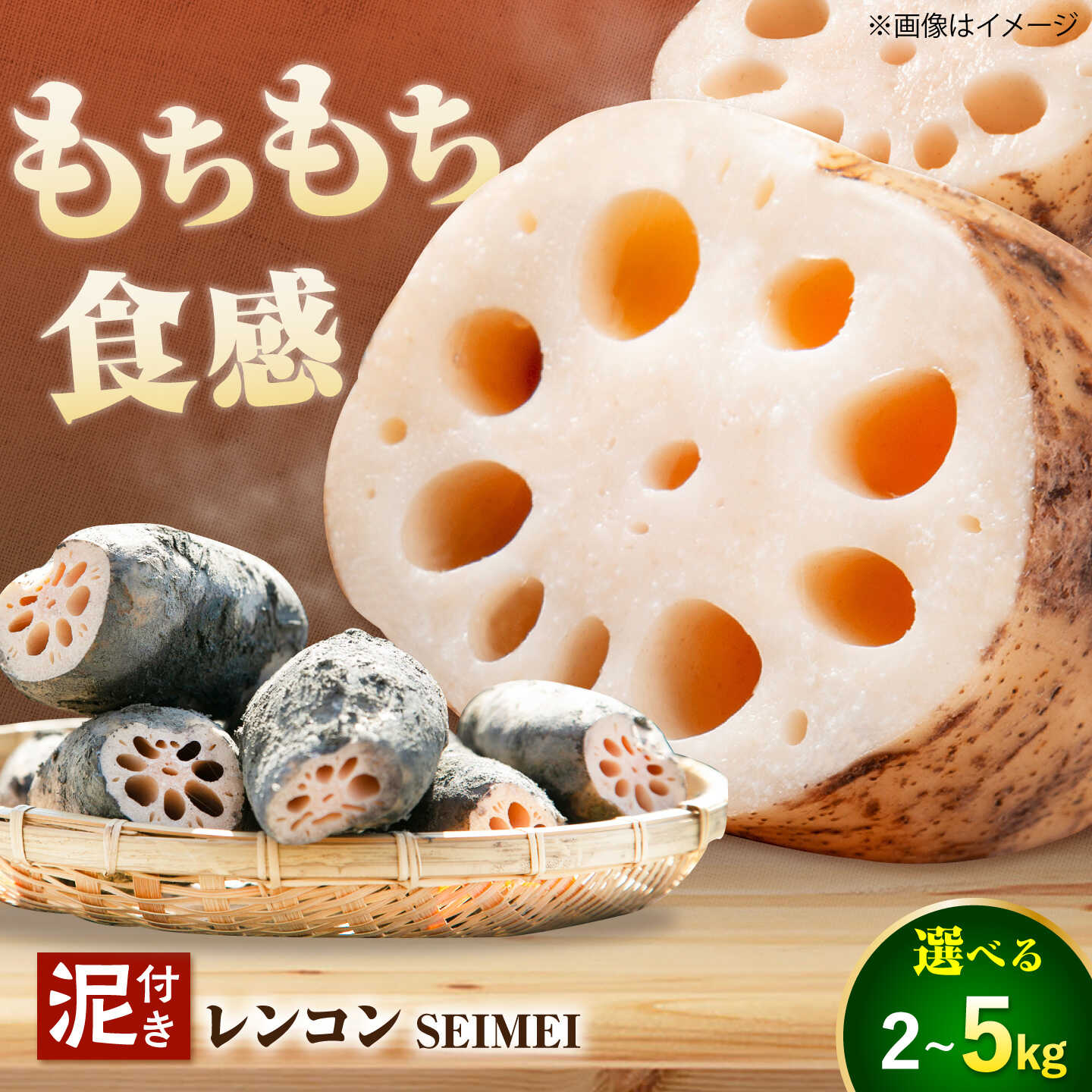 【ふるさと納税】【選べる容量】 ＼毎年8月中旬より順次発送／ れんこん 2kg or 5kg （SEIMEI） ＼農家直送！／ レンコン 蓮根 根菜 野菜 愛西市 / 水谷グルッポ [AEBX001]