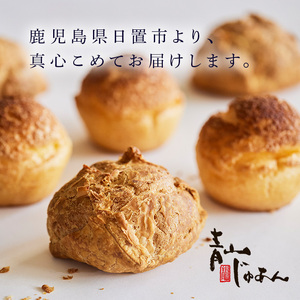 No.1207 青山じゅあんおすすめセットA(5種・合計17個入) 鹿児島 日置市 特産品 お菓子 洋菓子 菓子 おかし スイーツ おやつ カスタード クリーム 冷凍 冷凍配送 ギフト 【青山じゅあん