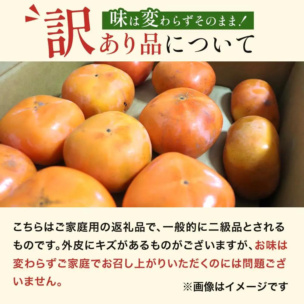 和歌山県産 訳あり 富有柿 7.5kg L ~ 2L 柿 【11月中旬～発送】