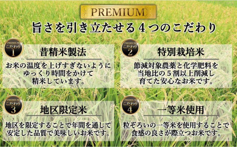 ＜全3回定期便＞令和8年米 福岡県産 米 【無洗米】金のめし丸元気つくし 5kg