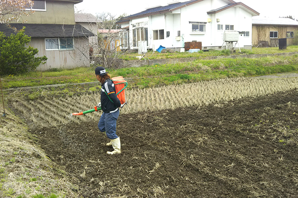 《令和7年産新米受付》あきたこまち 精米 10kg（5kg×2袋）秋田県 男鹿市産 吉元耕業 おにぎり お弁当