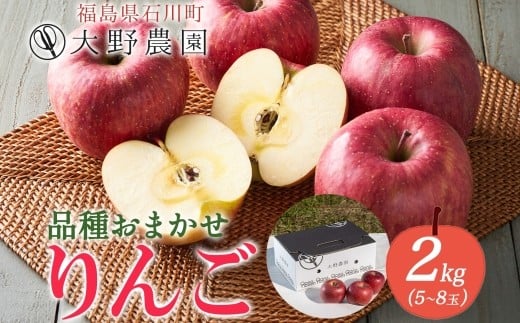 
            りんご 2kg 品種お任せ 5～8玉 ｜ リンゴ 旬 ランダム 林檎 果物 フルーツ 甘い アップル 産直 大野農園 福島県 石川町【19009】
          