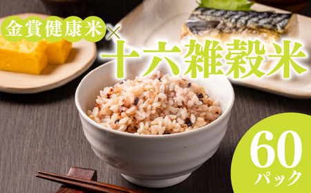 【 ご飯パック 】 金賞 健康米 十六雑穀米 120g×60個入り ご飯パック