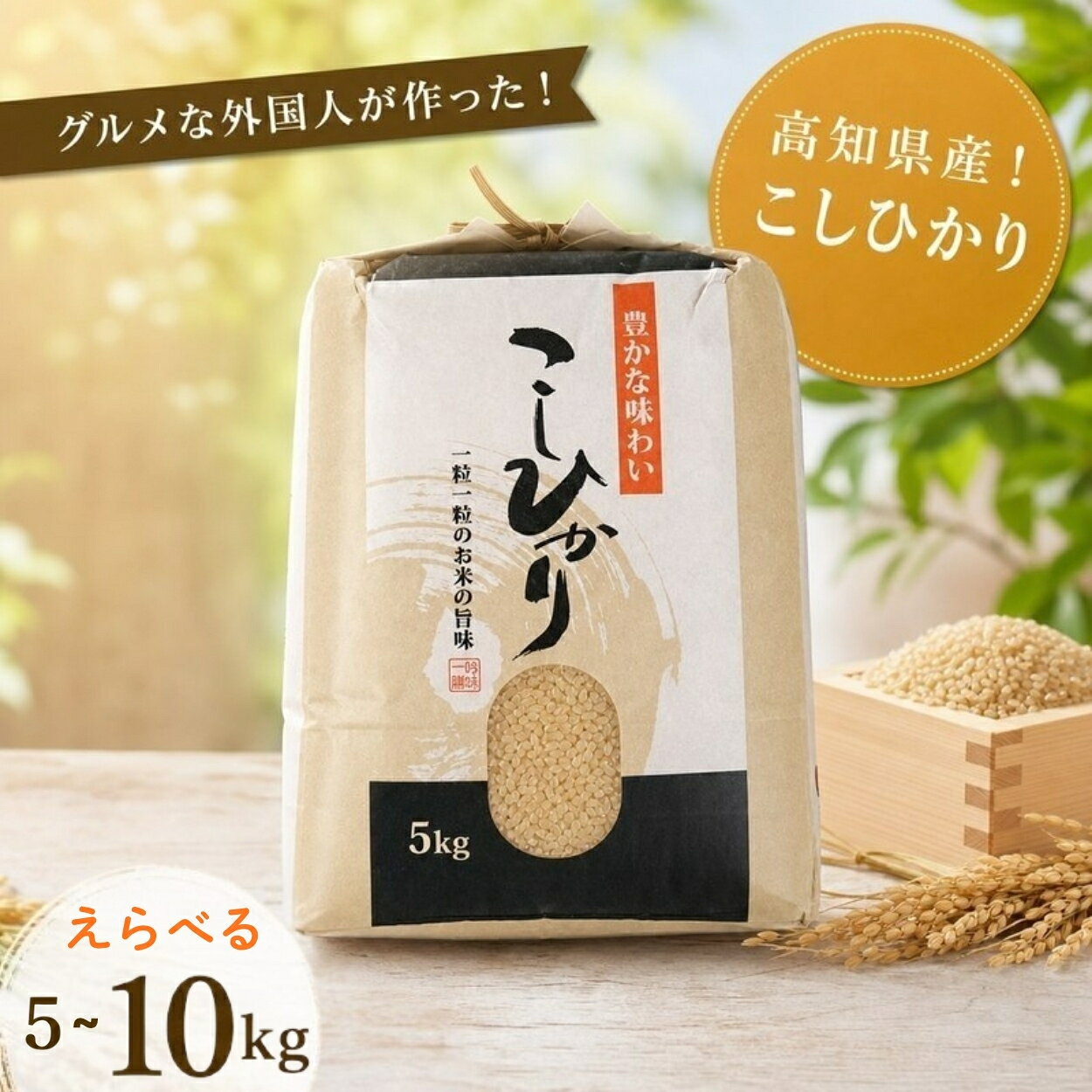 【ふるさと納税】 選べる！ コシヒカリ 玄米 5kg 10kg グルメな外国人 農家 が作った こだわり お米 こしひかり 2025年産 2026年産 新米 米 国産米 えらべる おこめ 一人暮らし ミネラル 豊富 期間限定 季節限定 ふるさと納税 ふるさと納税米 人気 おすすめ 高知県 黒潮町