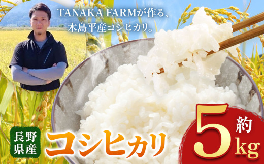 木島平産 こしひかり 5kg | 米 こしひかり コシヒカリ 定番 品種 特別栽培 寒暖差 木島平村 長野県 信州 コシヒカリ