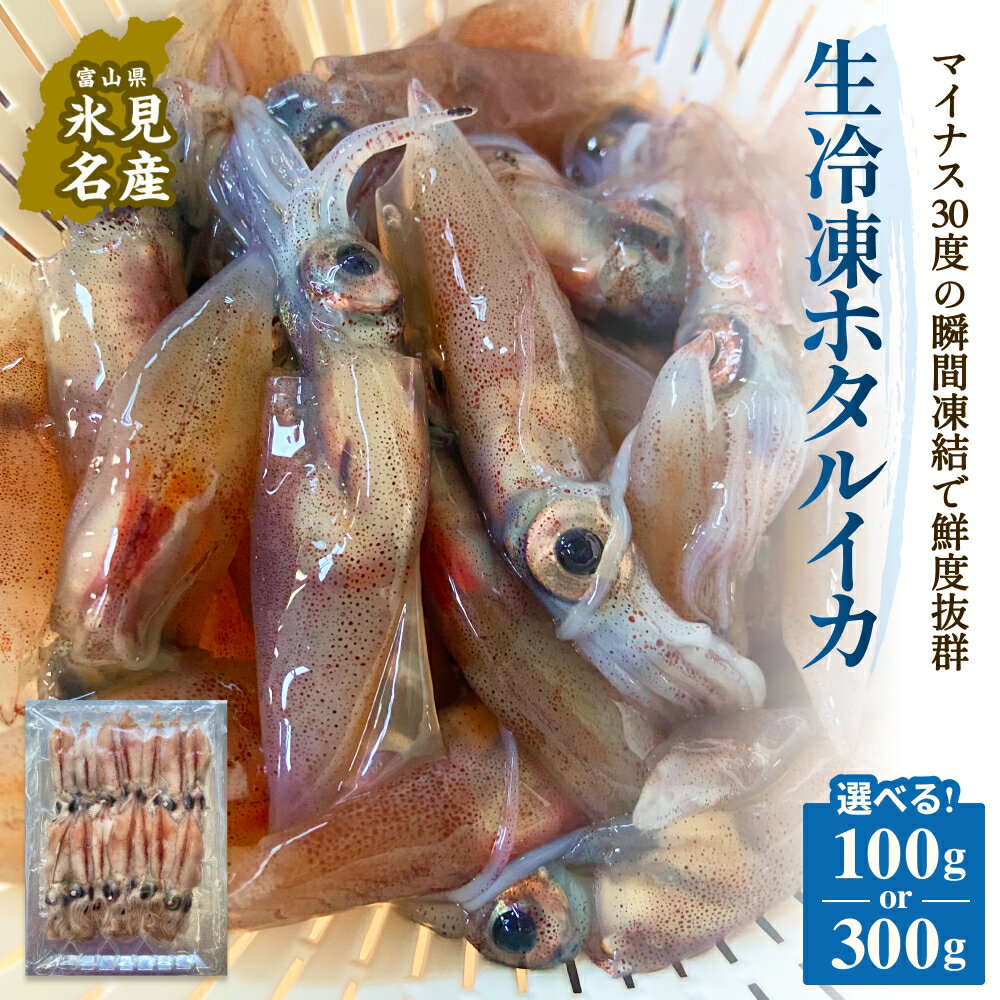 【ふるさと納税】生冷凍ホタルイカ（凍眠） 100g or 300g 富山県 氷見市 ほたるいか しゃぶしゃぶ 冷凍