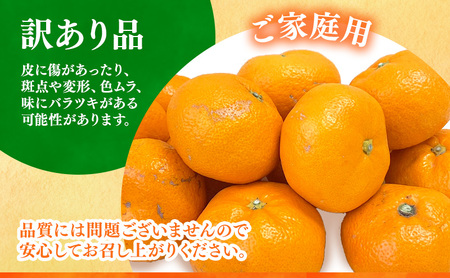 【 訳あり 】 後藤みかん農園 温州みかん 4kg 宮川 片山 果物 くだもの 旬のフルーツ 旬の果物 季節のフルーツ 季節の果物 柑橘 柑橘類 キズ 不揃い ご家庭用 静岡 浜松市