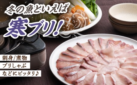 【24年1月限定発送】対馬寒ブリ３枚卸 [WAD009] 対馬 寒ブリ 国産 長崎 九州 刺身 お造り ブリしゃぶ ブリ大根 海鮮丼 海鮮 活魚 魚 白身 海産物 魚介類 コダワリブリ こだわりブリ 
