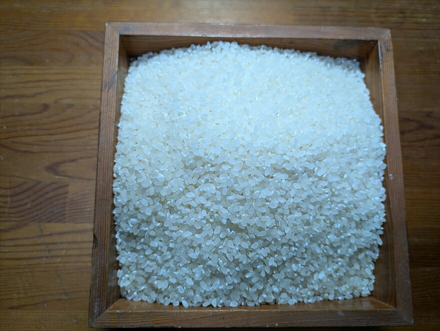 【ふるさと納税】有機JAS認定・丹波市産コシヒカリ 3kg