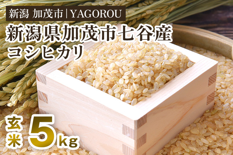 
            【令和7年産新米先行予約】新潟県加茂市 七谷産コシヒカリ 玄米5kg 《12月上旬～順次発送》 新潟産コシヒカリ 豊かな山水で育った天水米 加茂市 YAGOROU ヤゴロウ
          
