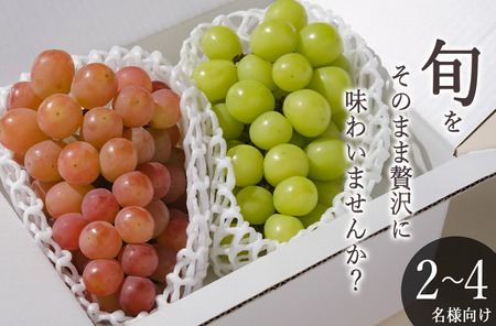 甲州市産 シャインマスカット&サンシャインレッド 2房入（約1.1kg）自然農法【2026年発送】（BNC）B15-427 シャインマスカット サンシャインレッド フルーツ