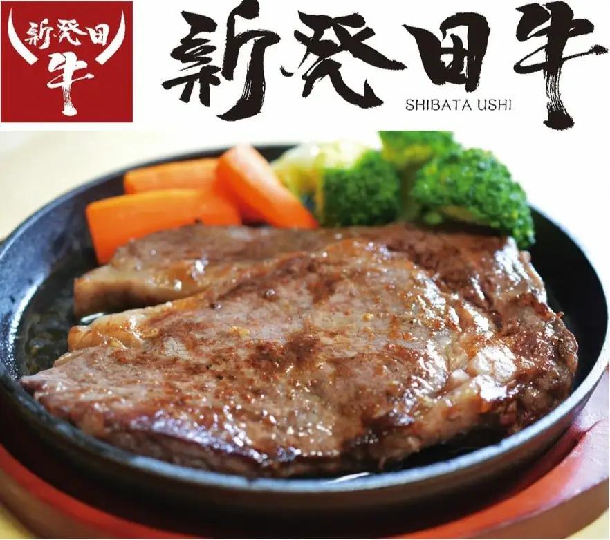 牛ロース 新発田牛ロース ステーキ用 500ｇ 牛ロース  牛ロース  牛ロース  牛ロース  牛ロース  H08_01 