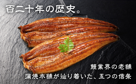老舗蒲焼本舗の若うなぎ 2尾セット 蒲焼 ウナギ