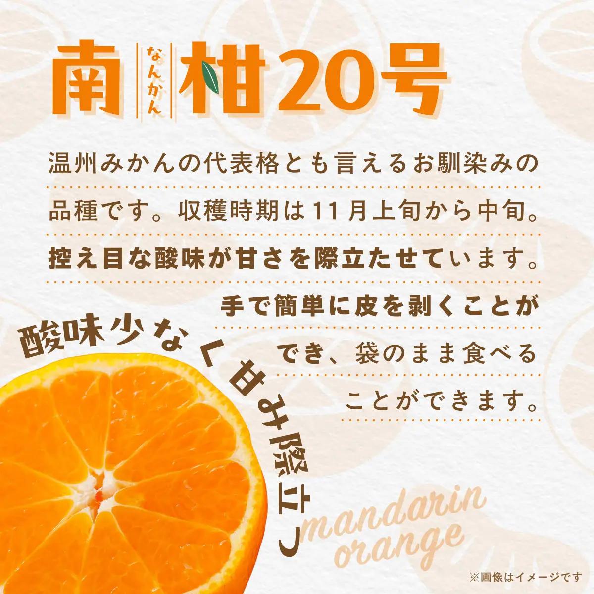 【先行受付】【数量限定】南柑20号（生果）3kg（2025年12月上旬頃より順次発送）IKTQ016