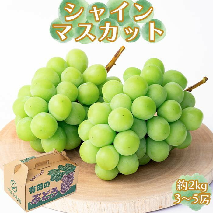 【ふるさと納税】シャインマスカット 約2kg（3～5房） | シャインマスカット マスカット ぶどう 葡萄 和歌山 和歌山県産 有田川町 夏 秋 果物 フルーツ 旬 2kg ふるさと納税 返礼品 故郷納税