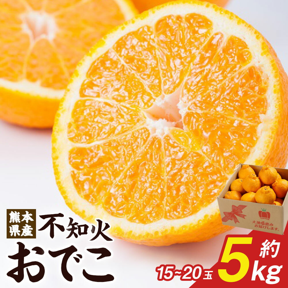 【ふるさと納税】熊本県産 不知火おでこ 約5kg しらぬい みかん ミカン 蜜柑 柑橘 柑橘類 熊本県産 フルーツ 果物 くだもの 果実 常温 九州 熊本県 送料無料 【2026年2月上旬発送開始】