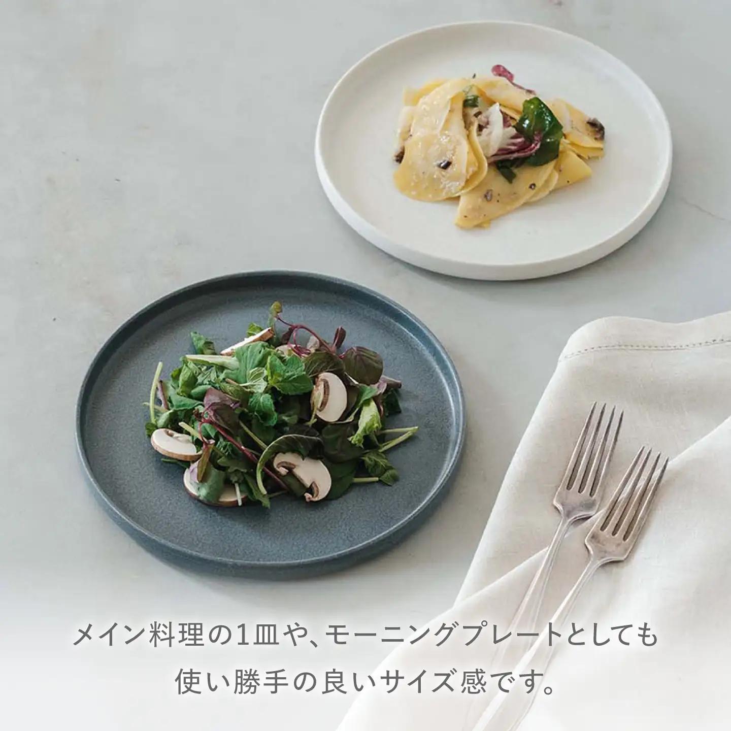 【美濃焼】 きほんのうつわ 切立プレート 灰 21cm 多治見市 / 丸朝製陶所 MARUASA PORCELAIN FACTORY プレート 皿 お皿[TCK046]