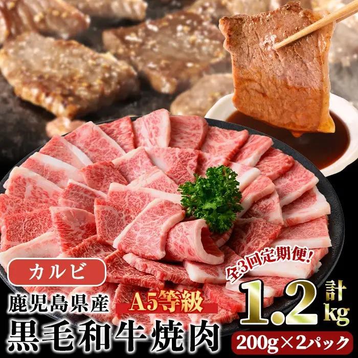 A5等級 鹿児島県産 黒毛和牛 カルビ 焼肉 (計1.2kg・200g×2パック×3回) 【LRプラスK】T44