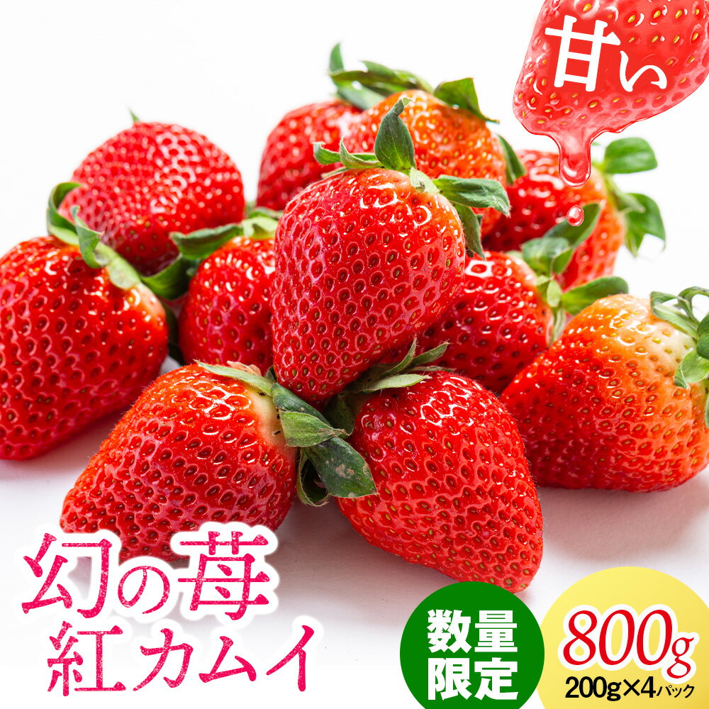 【ふるさと納税】 フルーツ 果物 いちご 高設栽培 冷蔵 紅カムイ 800g 200g×4パック お菓子作り 希少 苺 イチゴ 先行予約北海道ふるさと納税 ふるさと納税 北海道 浜頓別 通販 贈答品 贈り物