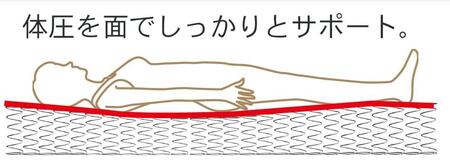 ダブルサイズ　国産ボンネルコイルマットレス　グランジーナ【ブラック】