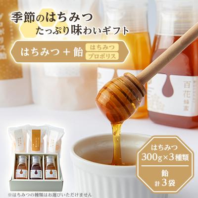 ふるさと納税 瑞浪市 東美濃厳選「季節のはちみつたっぷり味わいギフト」