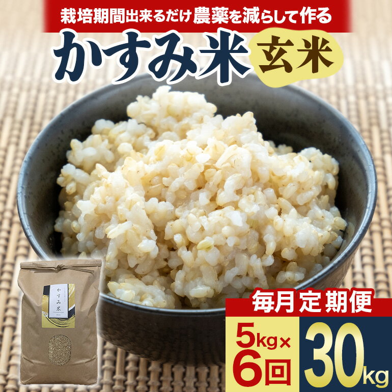 【ふるさと納税】 【毎月定期便】心と身体が踊りだす栽培期間中出来るだけ農薬を減らして作る「かすみ米」玄米 5kg 全6回 お米 米 国産米 茨城県 潮来市 (A03-055)