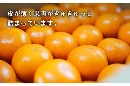 【数量限定】盛田みかん Sサイズ 約5kg（50-60個前後）ー2025年12月より発送ー 長与町/山口農園 [EBI001] 盛田 もりた みかん 温州みかん みかん 長崎みかん 長与みかん