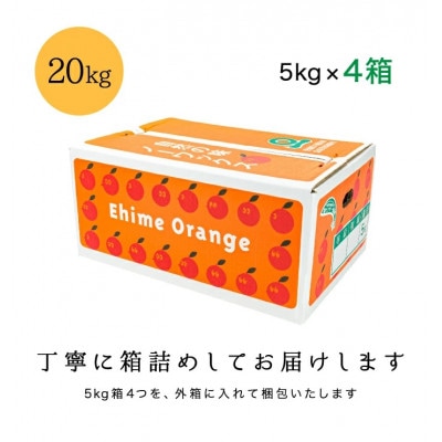 【南国を感じさせる独特の香り】愛媛ポンカン 20kg【H20−70】【1620342】