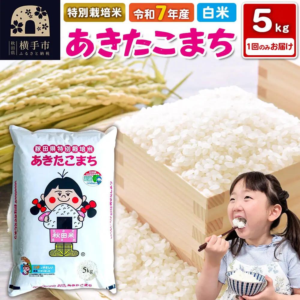 《令和7年産》【白米】秋田県横手産特別栽培米あきたこまち 5kg(5kg×1袋)