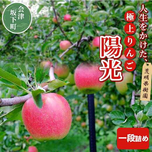 【ふるさと納税】17-G [予約開始！] りんご（陽光）5kg（一段詰め）荒明果樹園 人生をかけた、極上りんご（陽光）| りんご リンゴ 林檎 果物 くだもの フルーツ 福島県 会津坂下町 ※2026年10月～発送