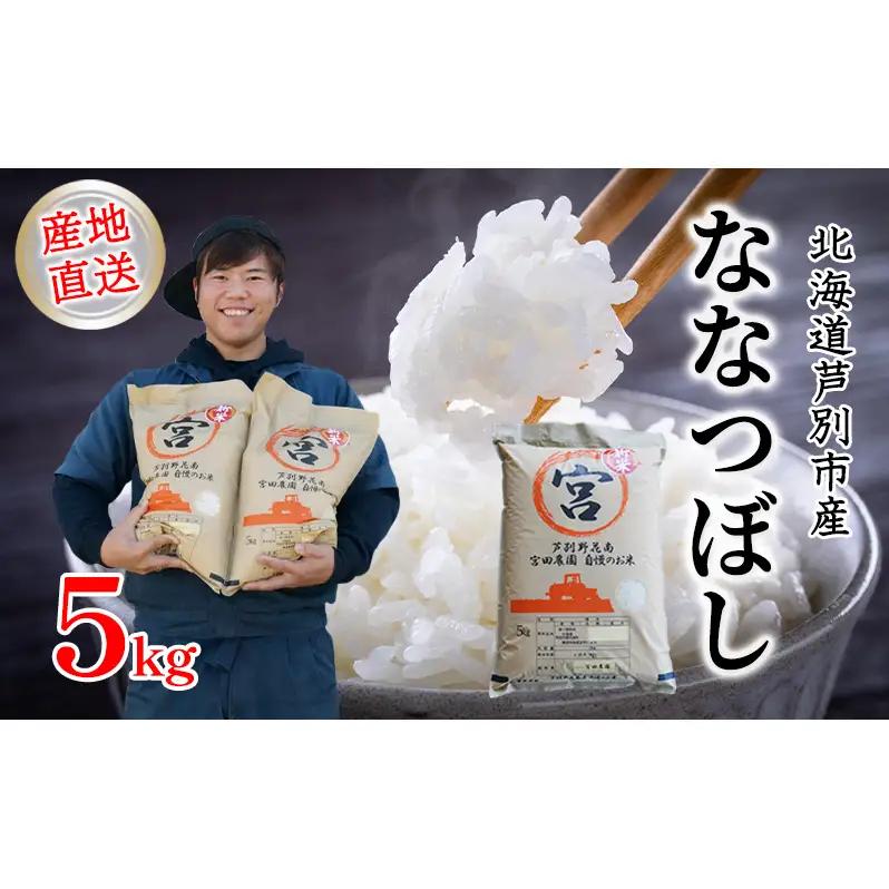 米 ななつぼし 白米 精米 令和7年産 5kg 北海道米